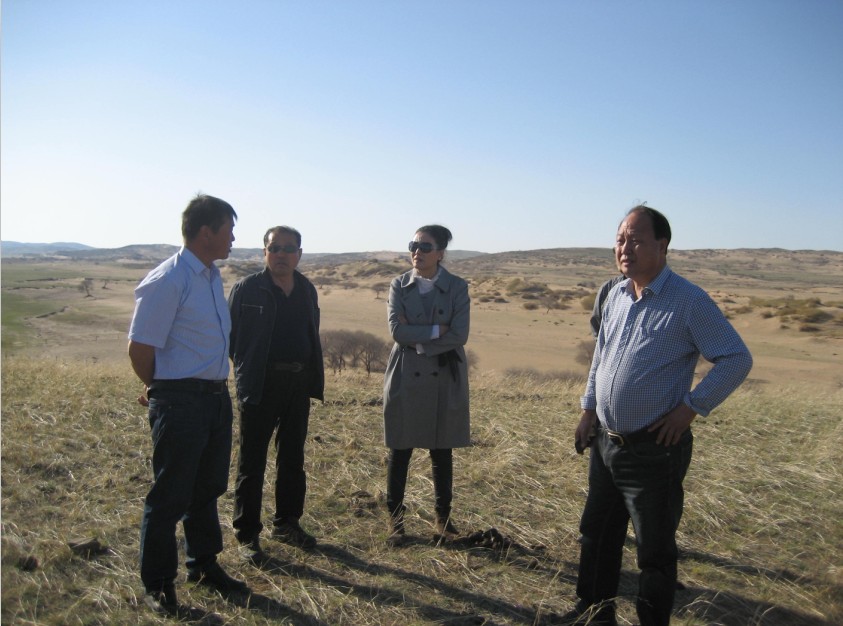 發(fā)揮資源優(yōu)勢，提高產(chǎn)業(yè)鏈競爭力——協(xié)會(huì)為企業(yè)間的合作搭建平臺