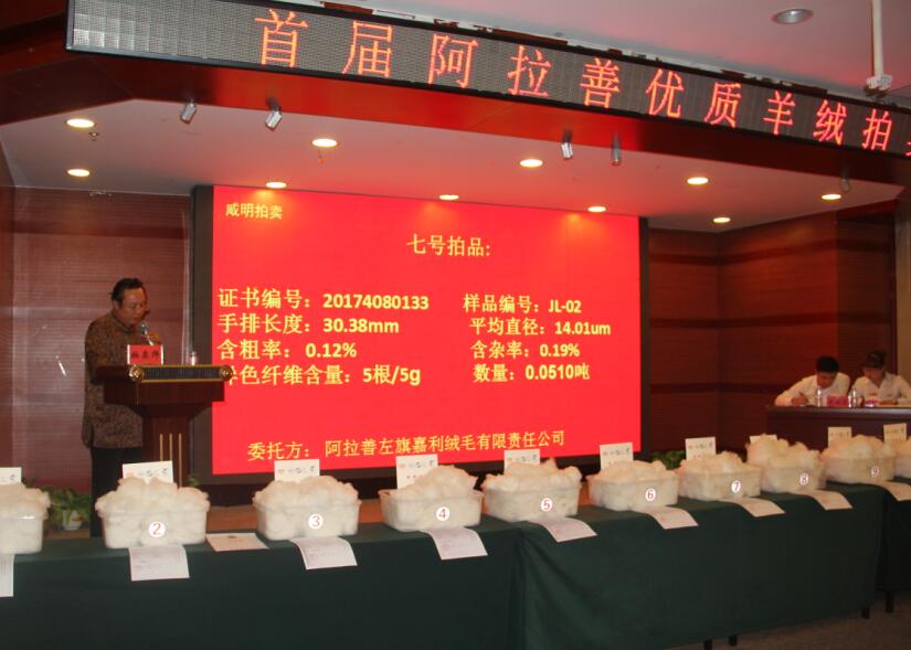 創(chuàng)新引領未來，品質鑄就輝煌 首屆阿拉善優(yōu)質羊絨拍賣會盛大舉行