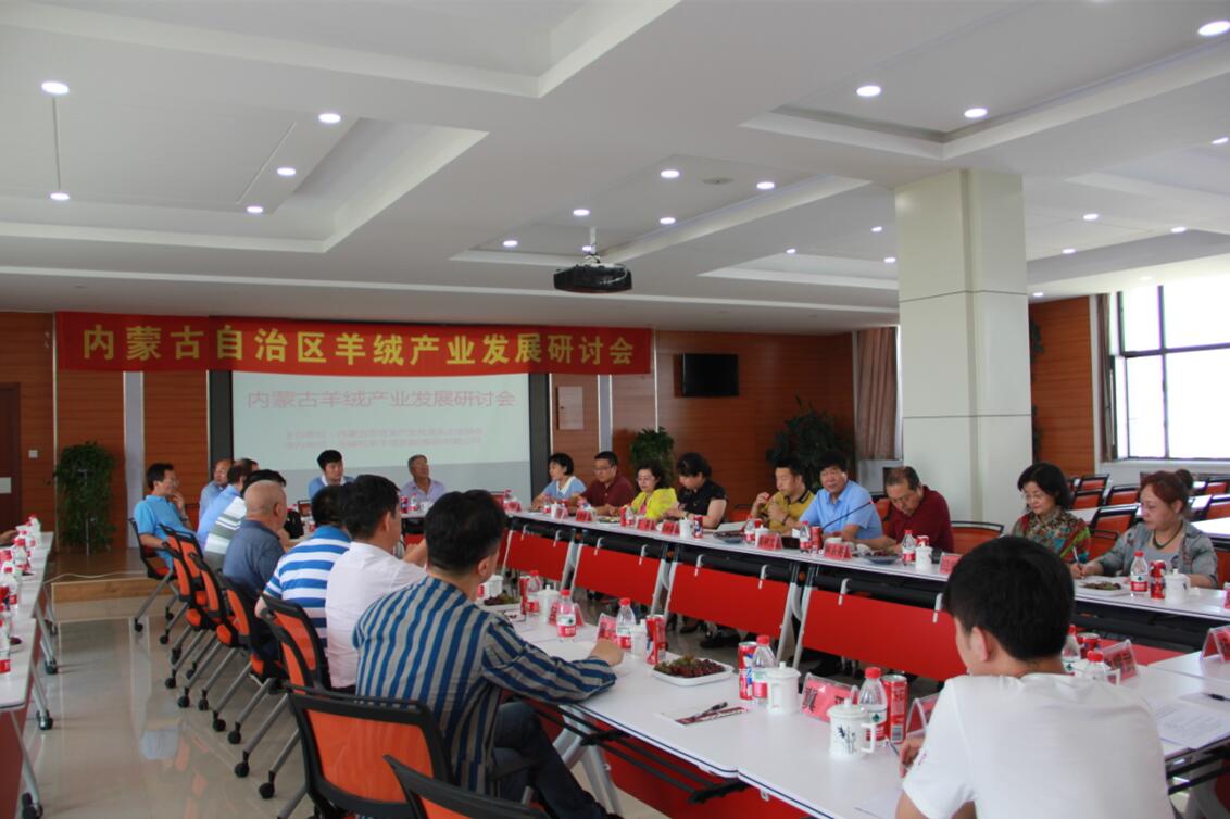 齊心協(xié)力，共謀內(nèi)蒙古羊絨產(chǎn)業(yè)發(fā)展新思路