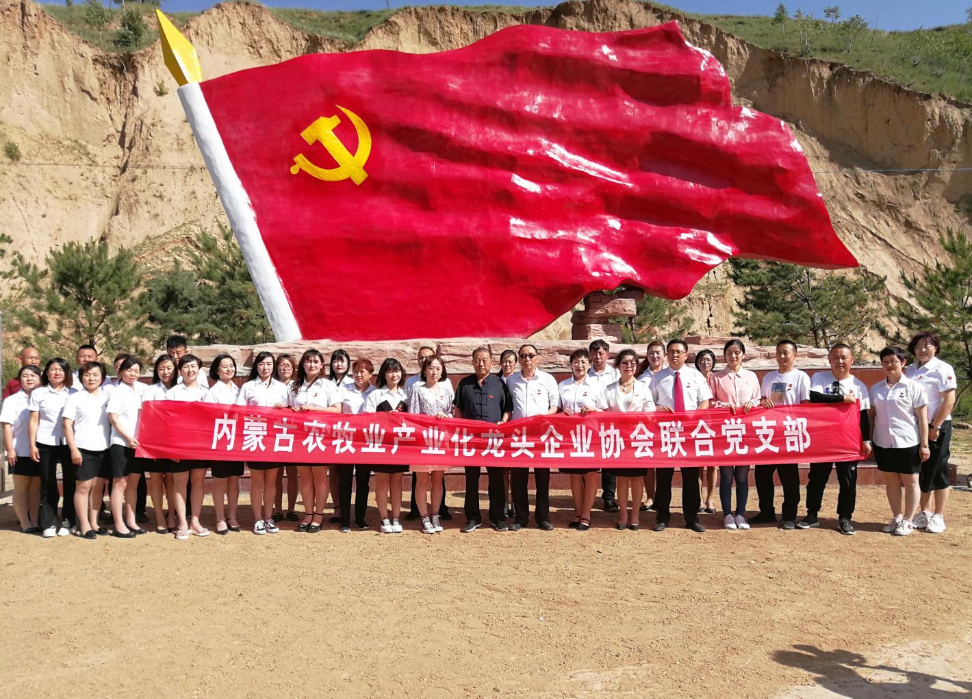 內(nèi)蒙古農(nóng)牧業(yè)產(chǎn)業(yè)化龍頭企業(yè)協(xié)會(huì)走進(jìn)石人灣村開(kāi)展“辦實(shí)事、解難題，送溫暖，傳黨恩”公益活動(dòng)