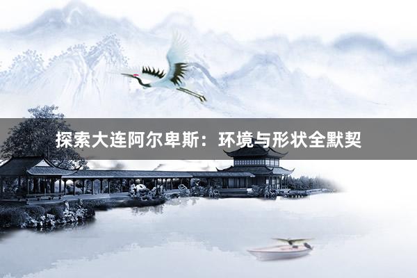 探索大连阿尔卑斯：环境与形状全默契